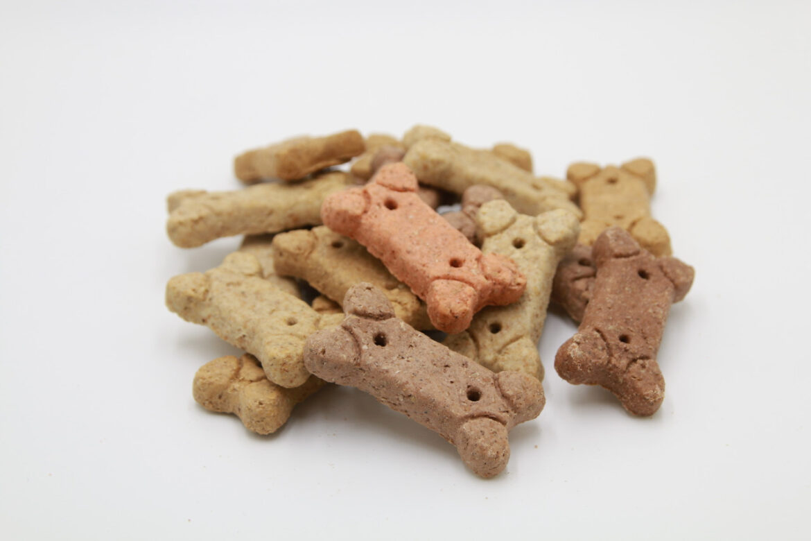 An Ultimate Guide to CBD dog biscuits